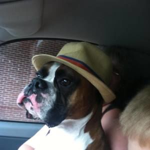 Meet your Posher, Norma